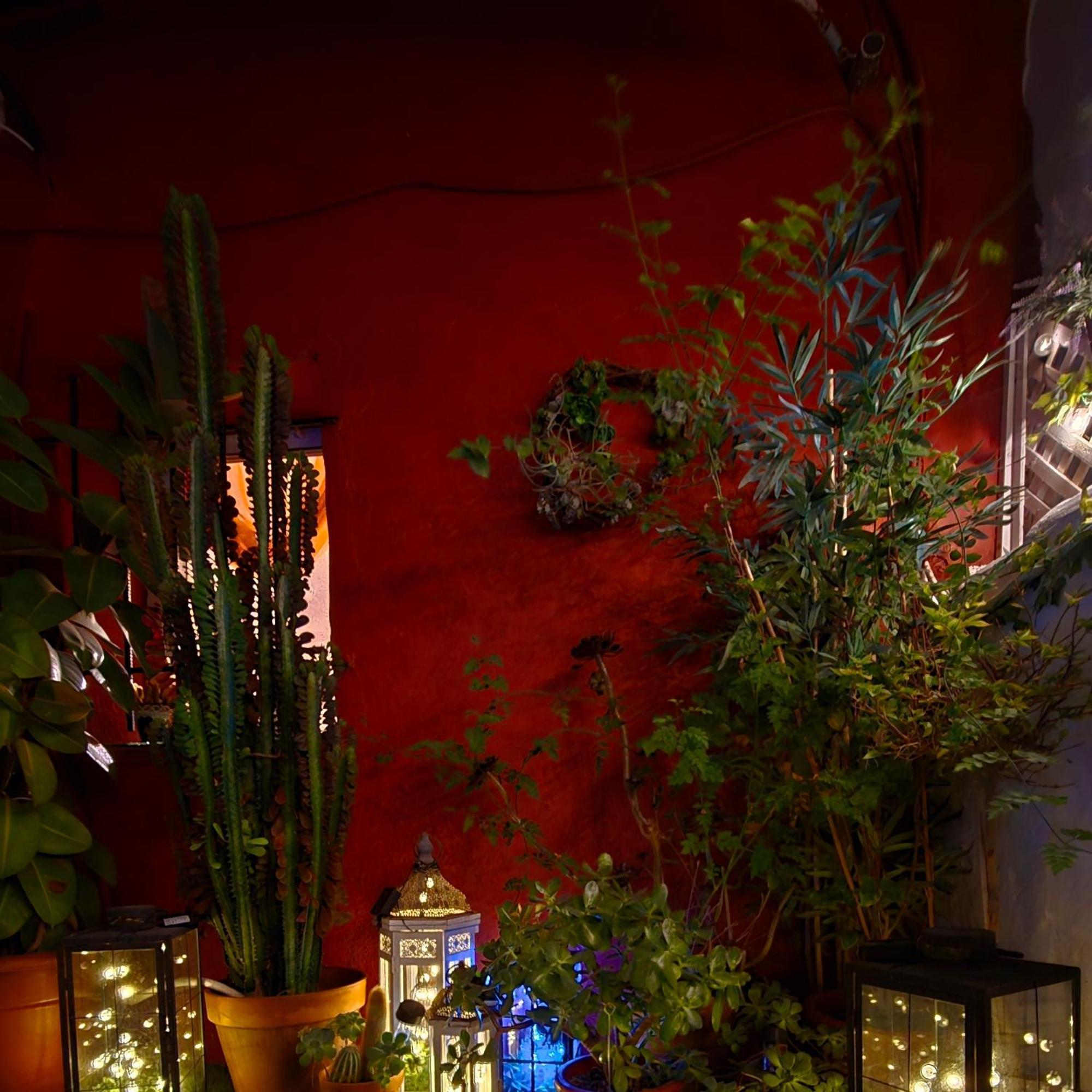 Holiday House - Casa De Monica 库列拉 外观 照片